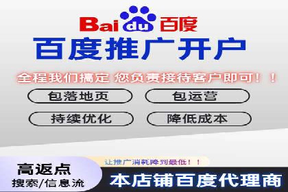 XX领域竞价广告的投放策略及效果展示